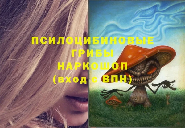 хмурый Заводоуковск
