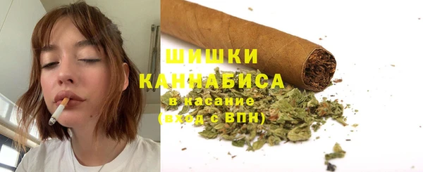 хмурый Заводоуковск