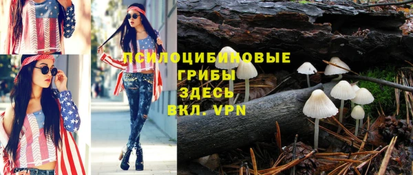 хмурый Заводоуковск