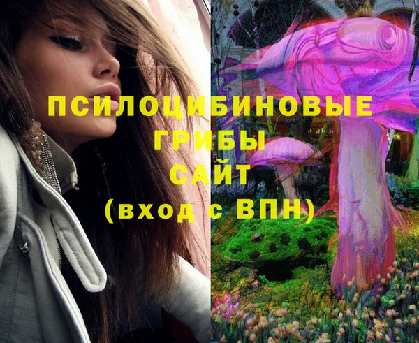 хмурый Заводоуковск