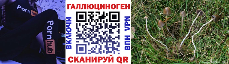 Псилоцибиновые грибы MAGIC MUSHROOMS Купить закладки Зеленокумск